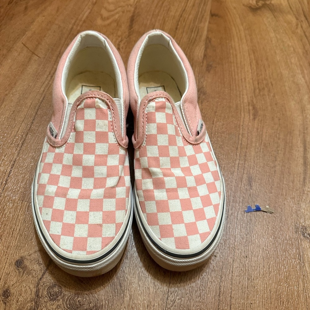 Vans Asher slip on skater shoe